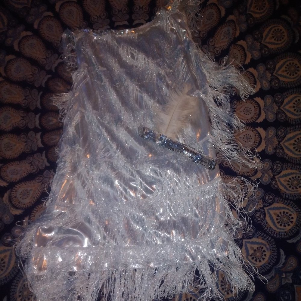 Beautiful Silver Fringe Flapper dress with Matching Feather Head Band